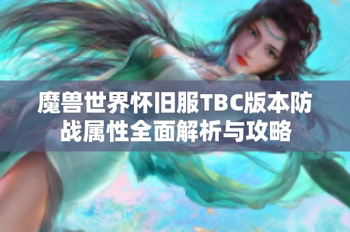 魔獸世界懷舊服TBC版本防戰(zhàn)屬性全面解析與攻略