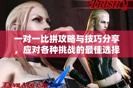 一對一比拼攻略與技巧分享，應(yīng)對各種挑戰(zhàn)的最佳選擇