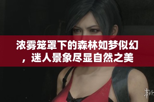 濃霧籠罩下的森林如夢似幻，迷人景象盡顯自然之美