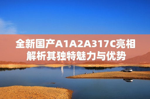 全新國(guó)產(chǎn)A1A2A317C亮相 解析其獨(dú)特魅力與優(yōu)勢(shì)
