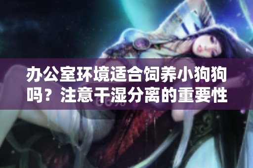 辦公室環(huán)境適合飼養(yǎng)小狗狗嗎？注意干濕分離的重要性