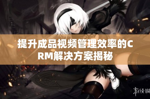 提升成品視頻管理效率的CRM解決方案揭秘