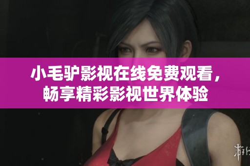 小毛驢影視在線免費(fèi)觀看，暢享精彩影視世界體驗(yàn)