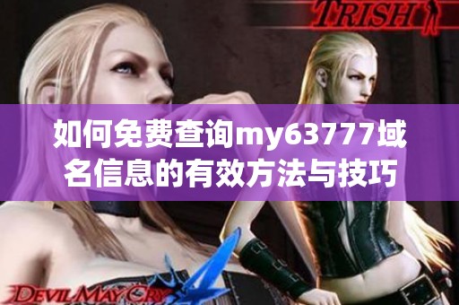 如何免費(fèi)查詢my63777域名信息的有效方法與技巧