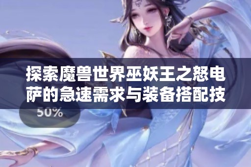 探索魔獸世界巫妖王之怒電薩的急速需求與裝備搭配技巧