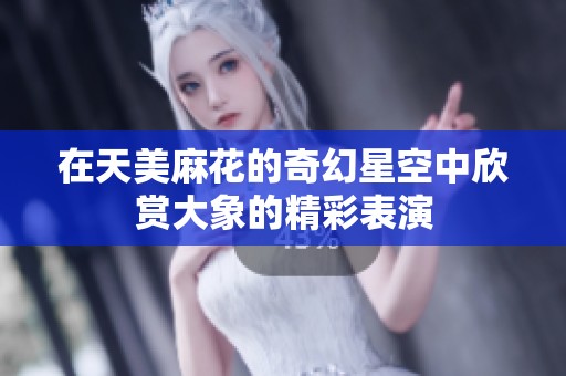 在天美麻花的奇幻星空中欣賞大象的精彩表演