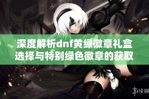 深度解析dnf黃綠徽章禮盒選擇與特別綠色徽章的獲取途徑